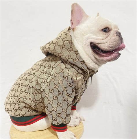 gucci clothes for dog|designer dog clothes gucci.